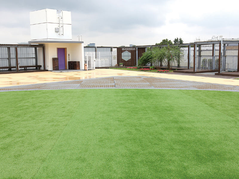 昼休みや放課後に集いの場となる人工芝の屋上庭園